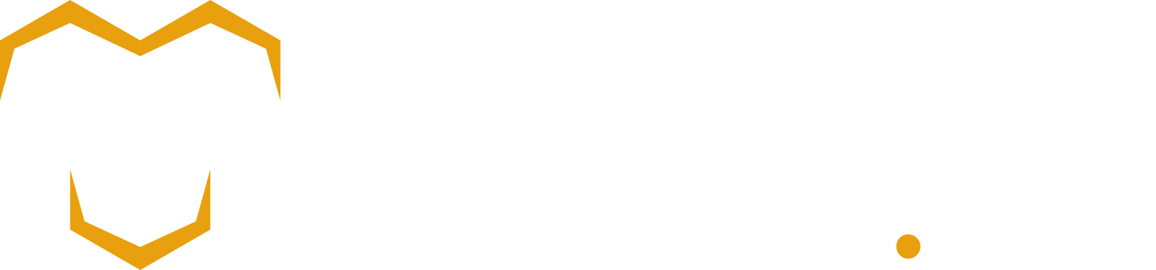 beewise logo